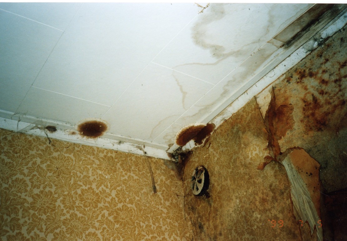 Images Svenska Reimpregnerings AB lavTOX