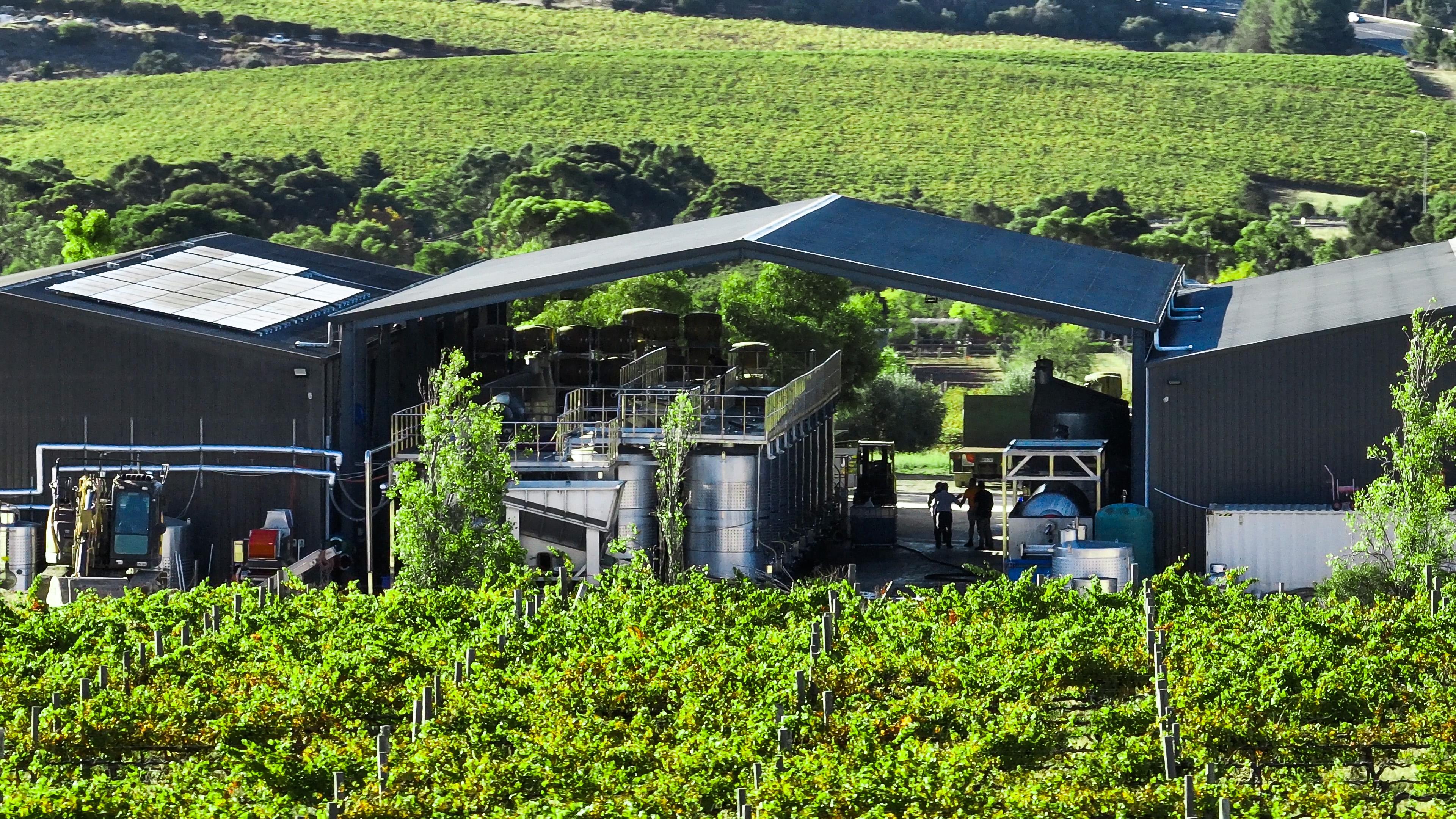 Images Curtis Winery