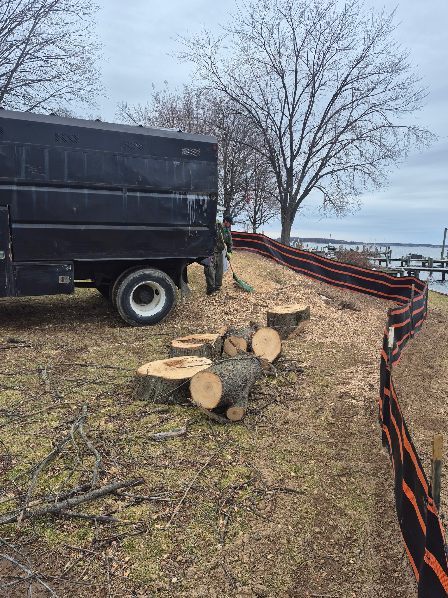 BB Tree & Landscape Company Image