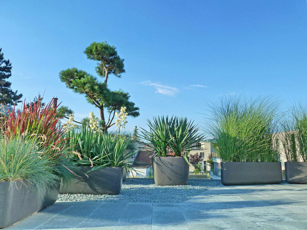 Silvedes AG, Bellevue in Brütten