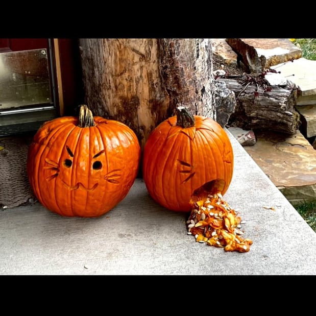 Images Enchanted Forest Toy Shoppe