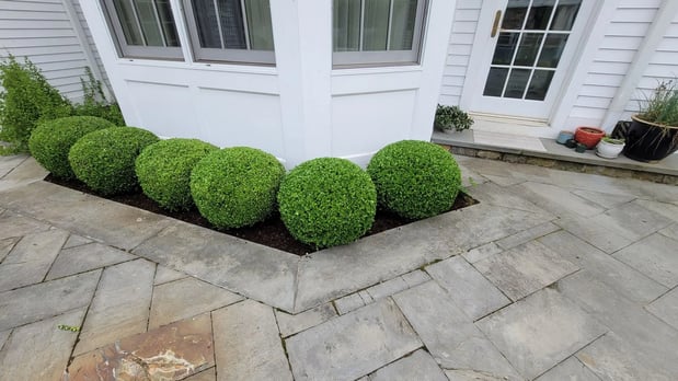 Images Dubons Landscaping LLC
