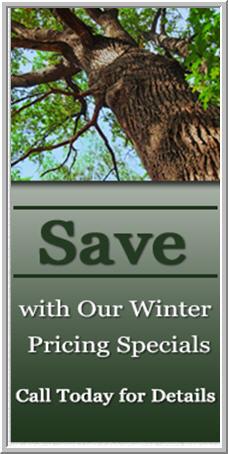 Images Acorn Tree Care LLC