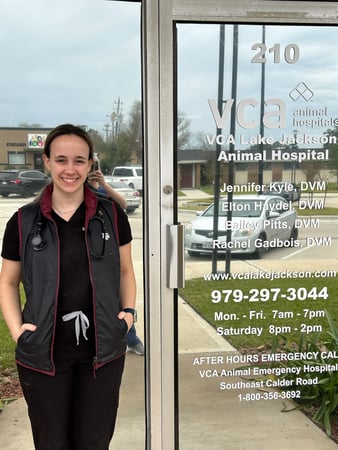 Images VCA Lake Jackson Animal Hospital