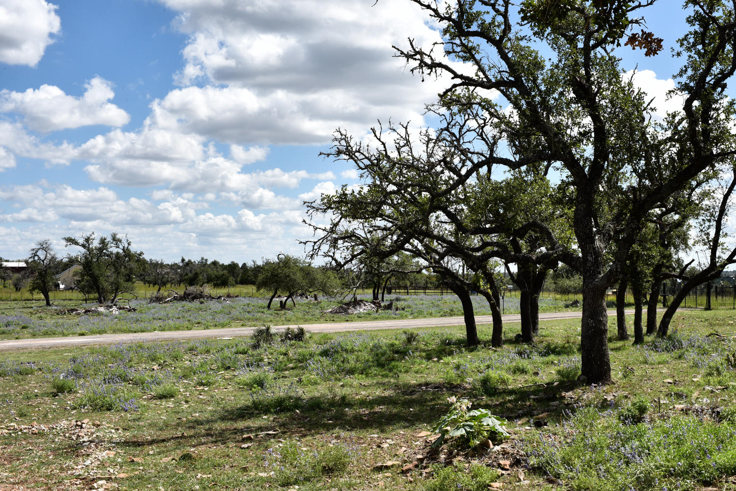 Farm house stay in Fredericksburg Texas