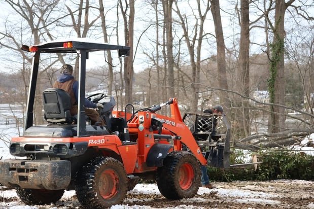 Images Ricks Tree Removal