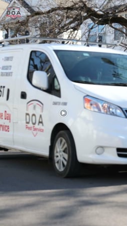 Images Nashville Pest Control - DOA Pest Service