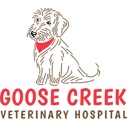 Goose Creek Veterinary Hospital - Ashburn, VA 20147 - (571)291-9110 | ShowMeLocal.com