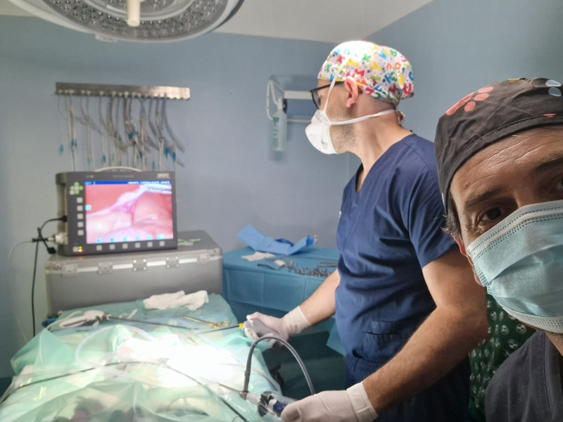Images Clinica Veterinaria di Blasi