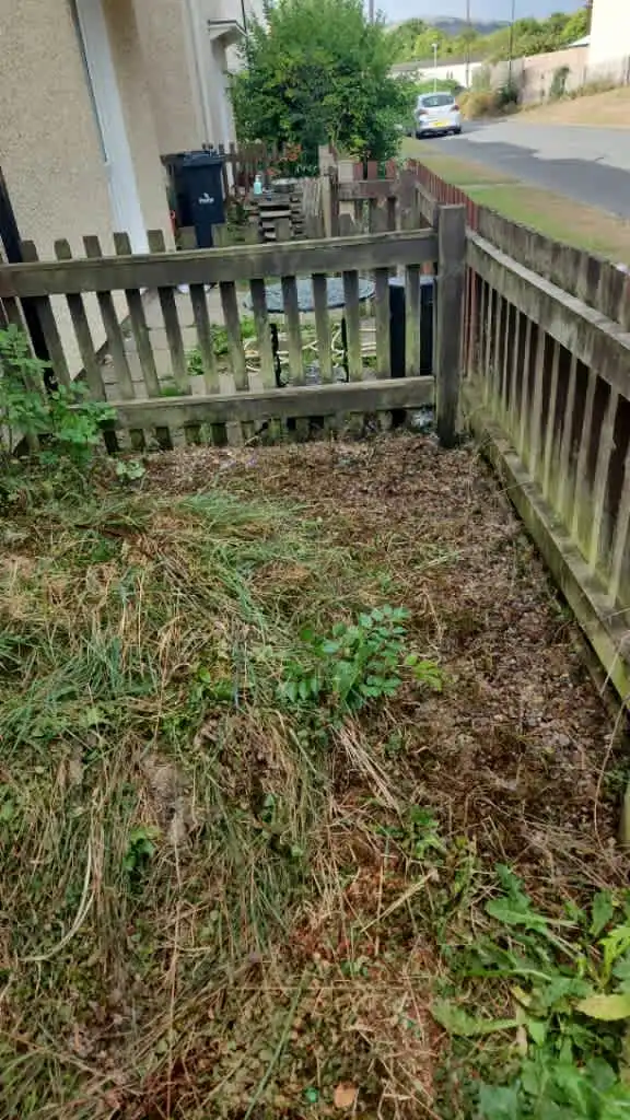 Images Master Moves Man & Van