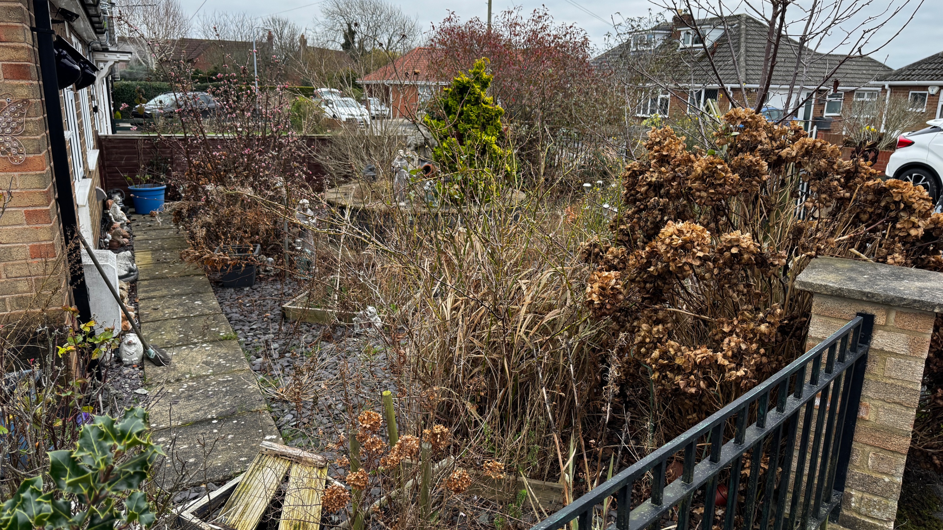 Images Bloom & Boundary Gardening & fencing Ltd.