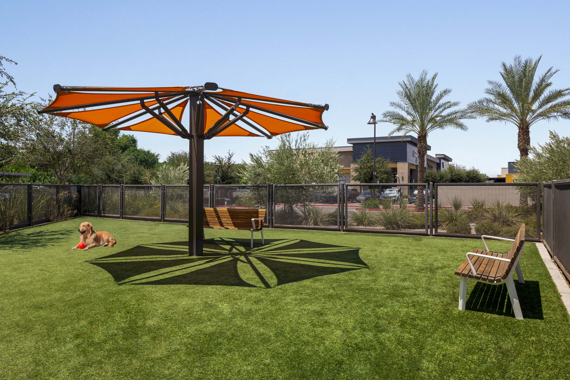 Onsite gated dog park with bench and shade at Camden Gilbert apartments in Gilbert, AZ 