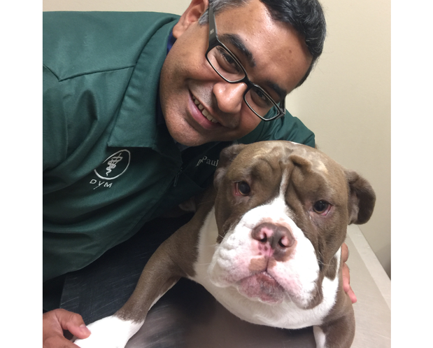 Images Parker Animal & Bird Clinic