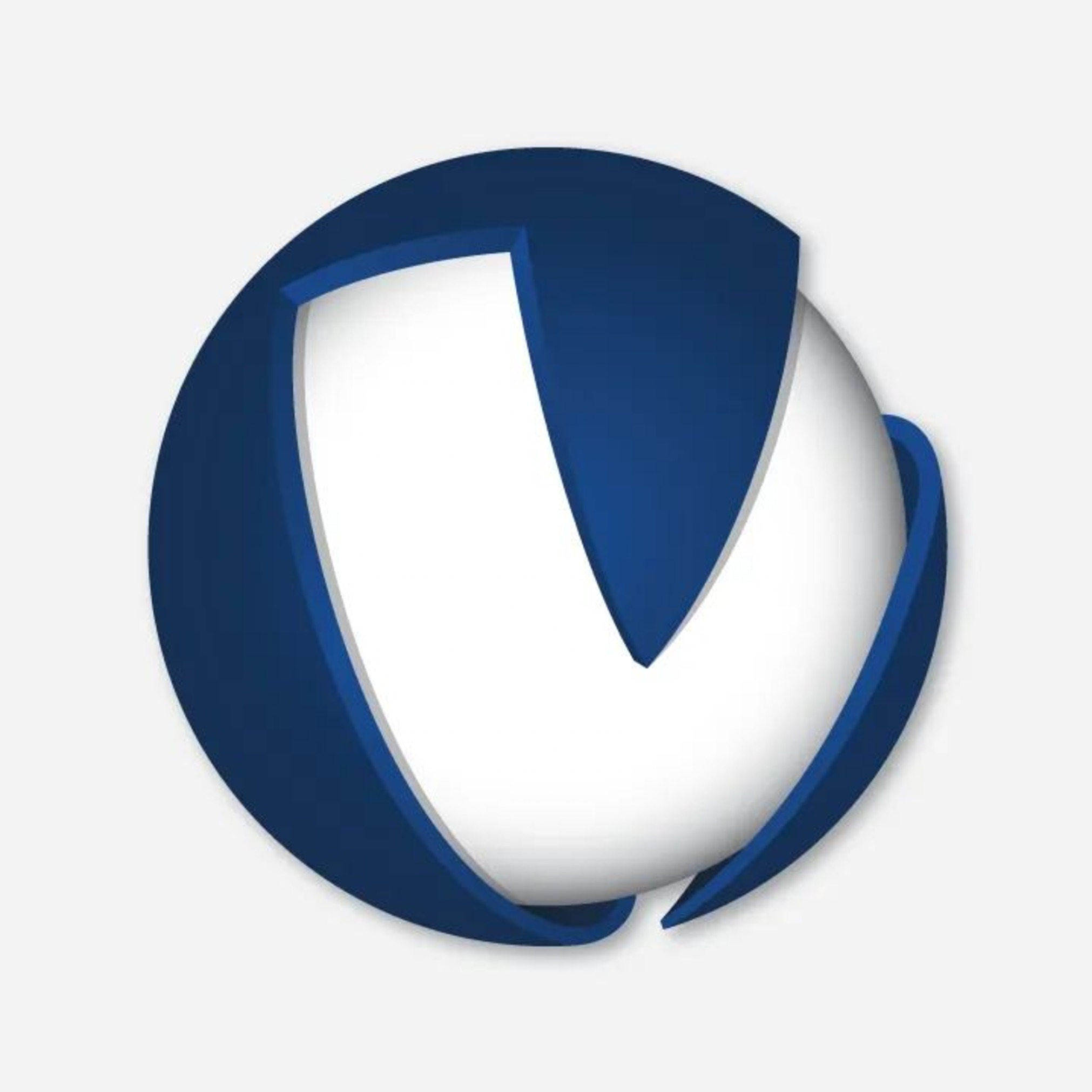company logo
