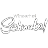 Winzerhof Schnabel in Gau Bickelheim - Logo