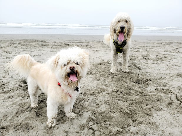 Images Kao Xiong - State Farm Insurance Agent