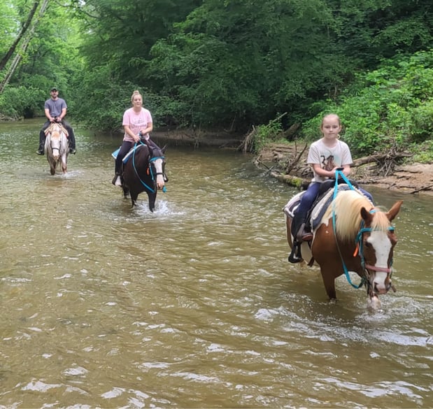 Images Riverside Riding Stables