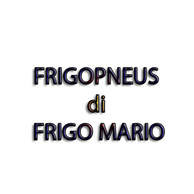 Frigopneus Logo