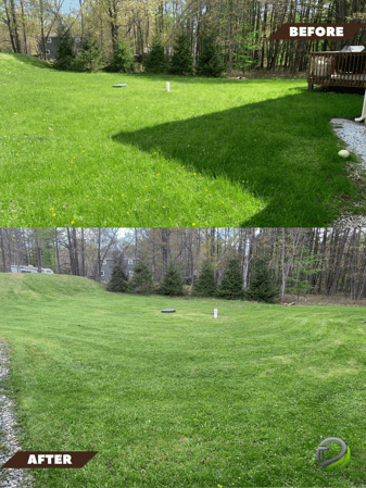 Images Marian's Grass Cutting Services