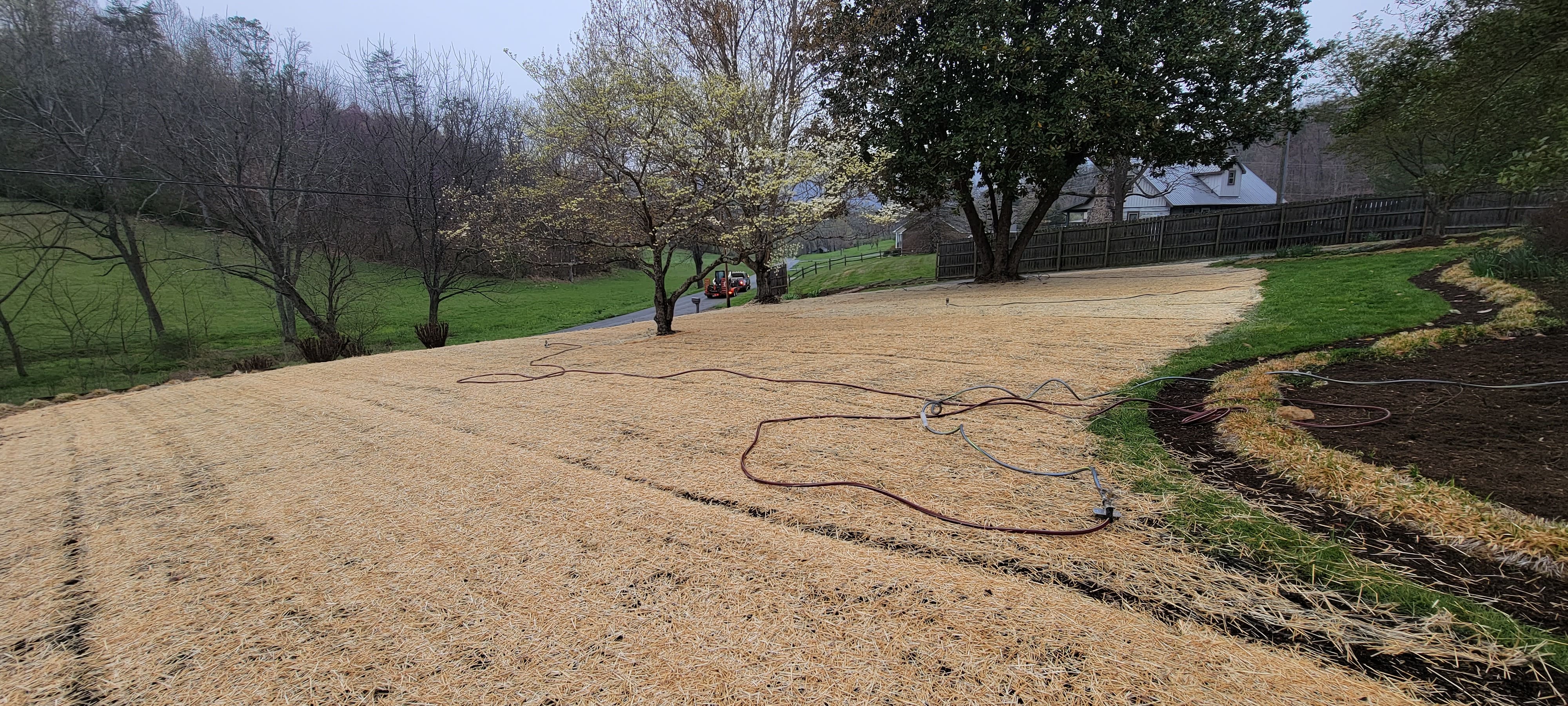 TruEdge Lawn & Landscape 5