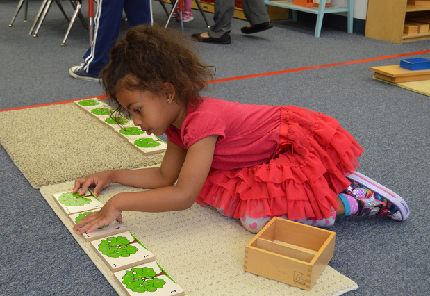 Images Apple Montessori Schools & Camps - Oakland