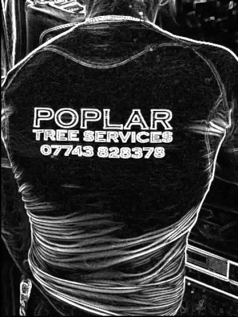 Images Poplar Tree Services Ltd
