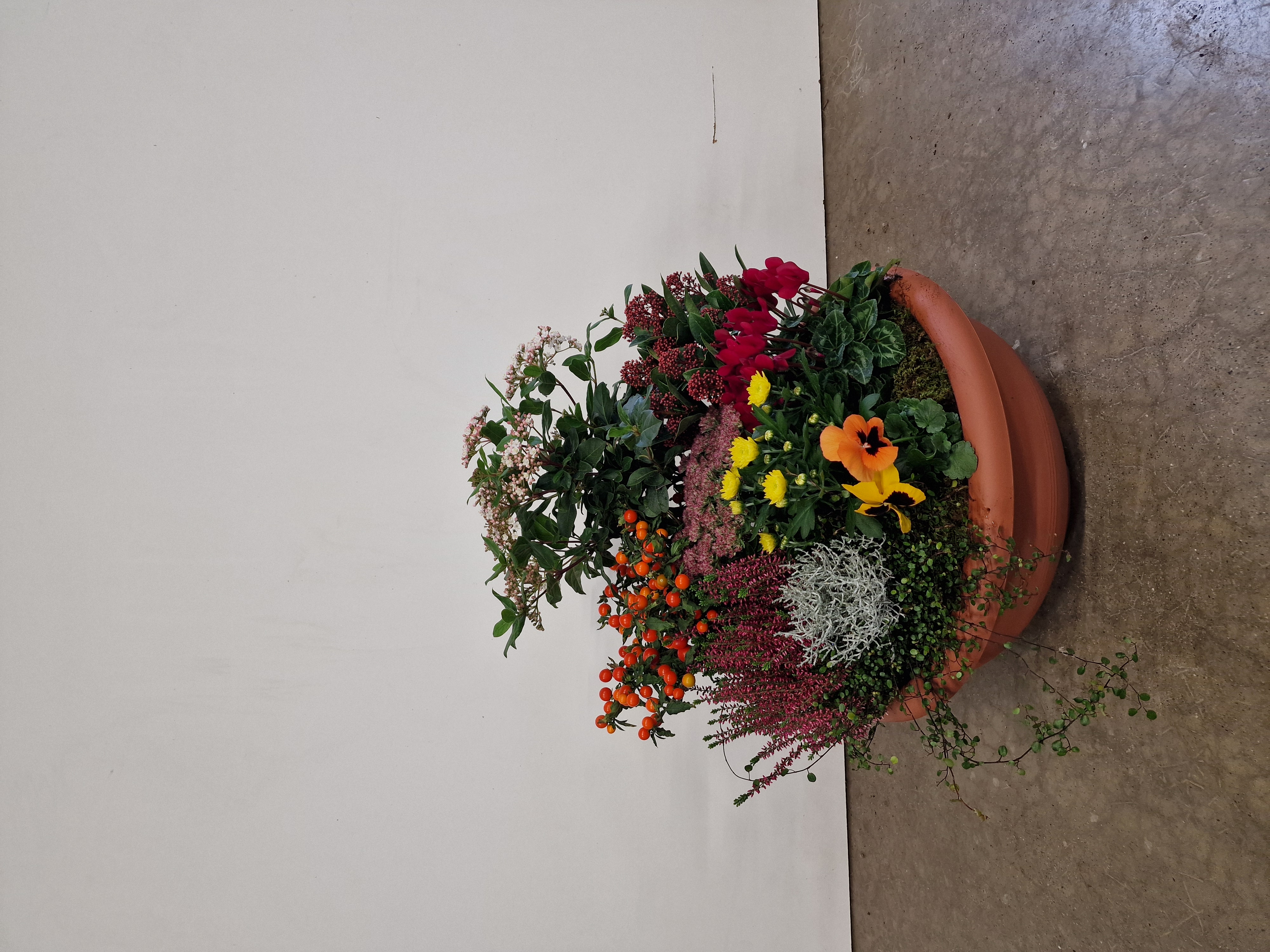 Bilder Jardinerie Fleuristerie Hämmerli SNC