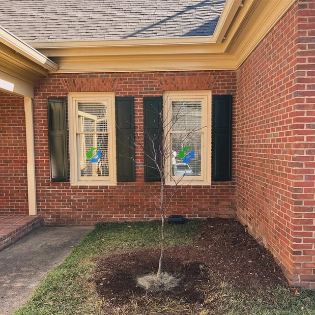 Images Saddletree LLC