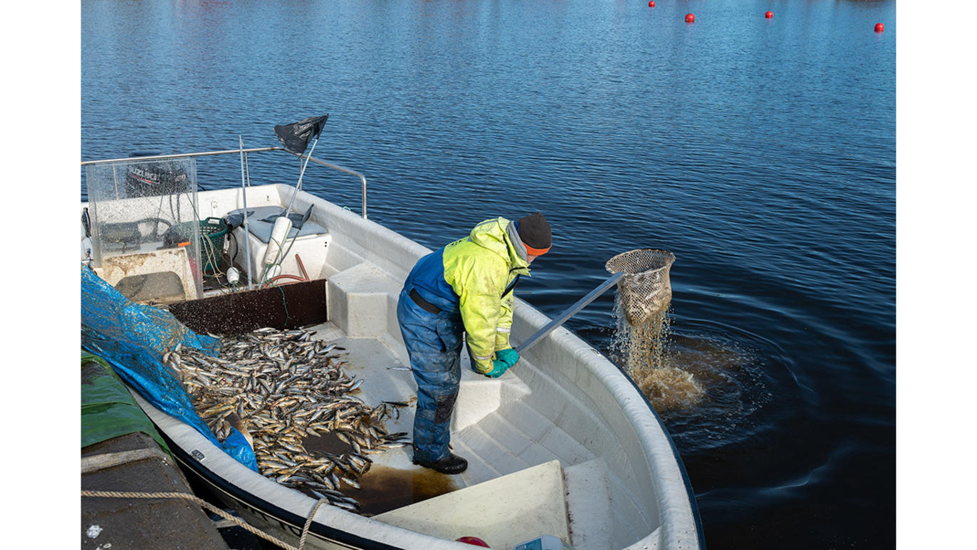 Images Dj Foto och Video - Fotograf Umeå