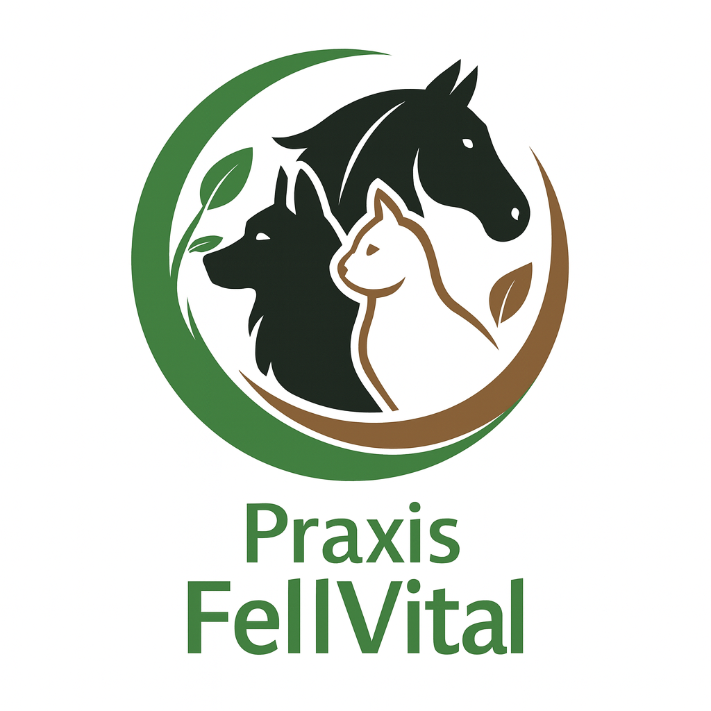 Tierphysiotherapie Praxis FellVital, Böwerweg 14 in Wittbek