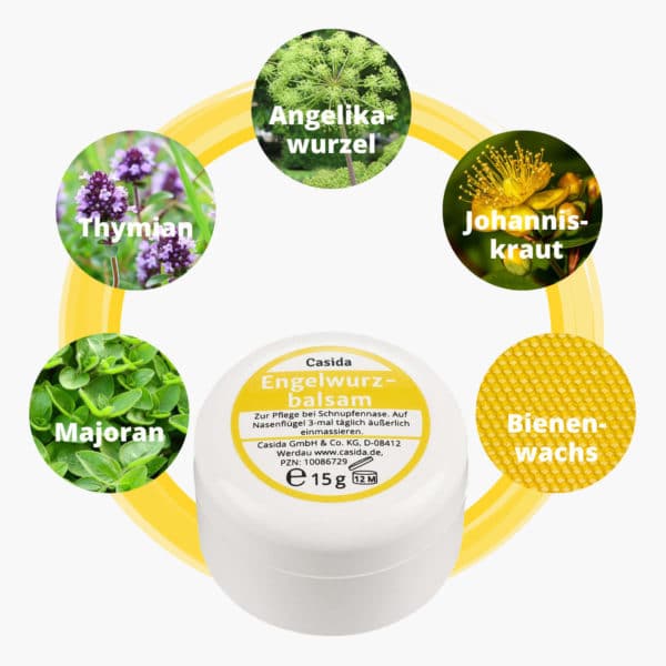 Casida GmbH & Co. KG, August-Bebel Strasse 43 in Werdau