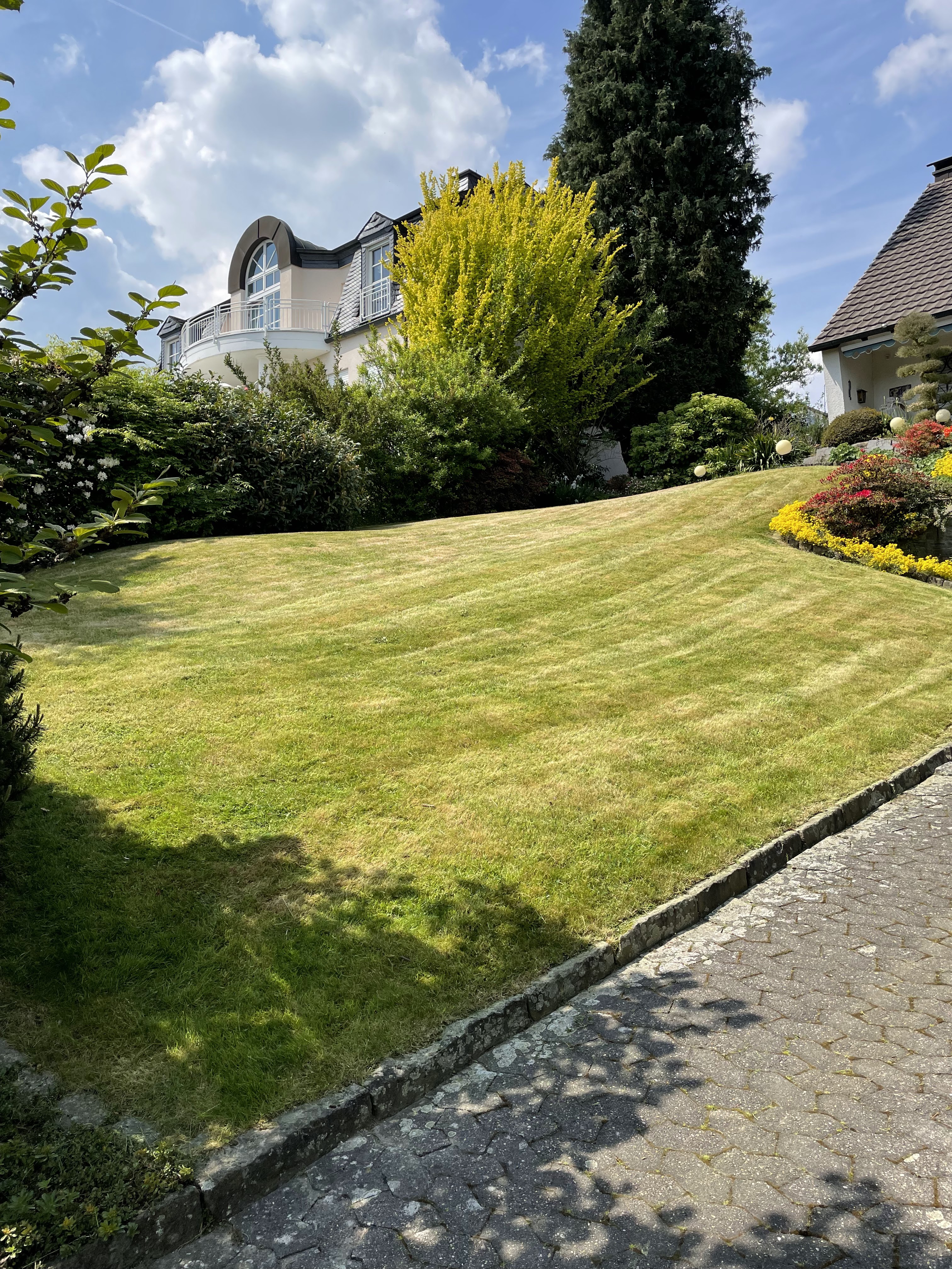 Baum- & Gartenpflege Loose in Melsbach