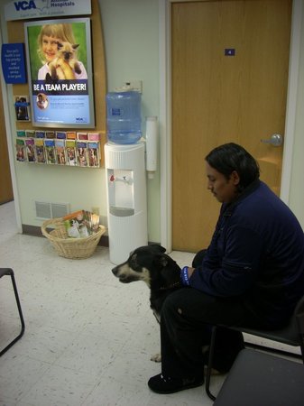 Images VCA Cedar Animal Hospital