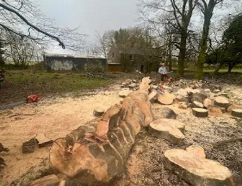 Greenfell Tree Services 3