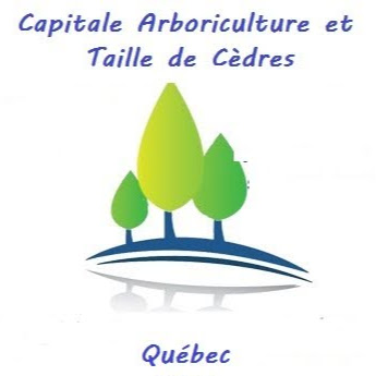 Capitale Arboriculture et Taille de cèdres Logo