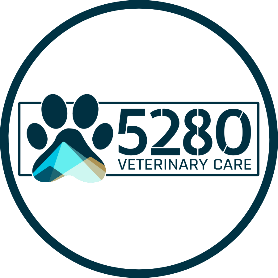 5280 Veterinary Care - Denver, CO 80205 - (720)789-7000 | ShowMeLocal.com