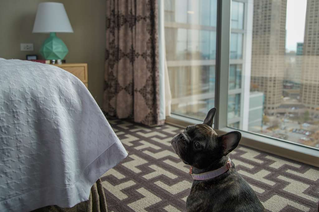 Guest room
