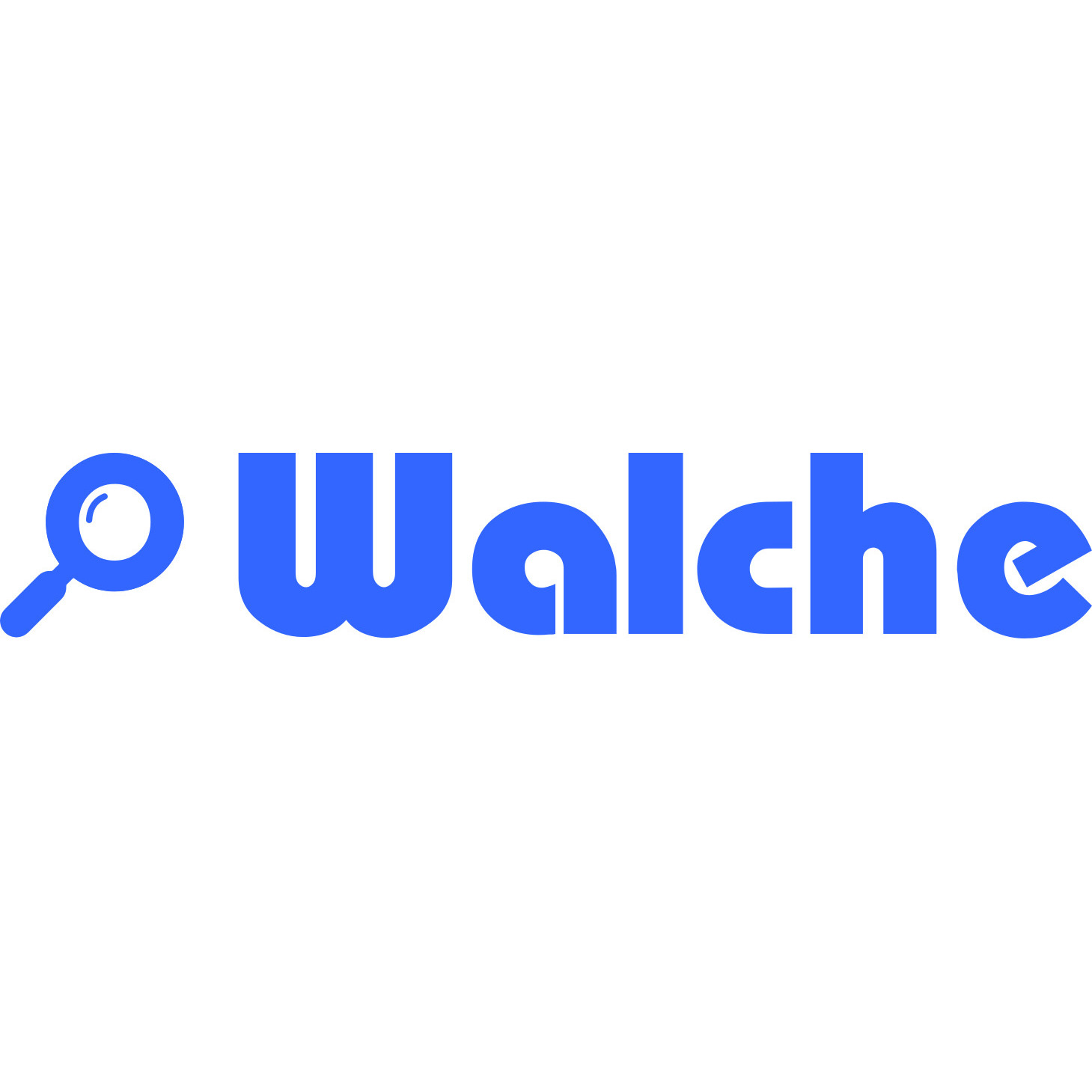 Walche Revisionsgesellschaft AG Logo