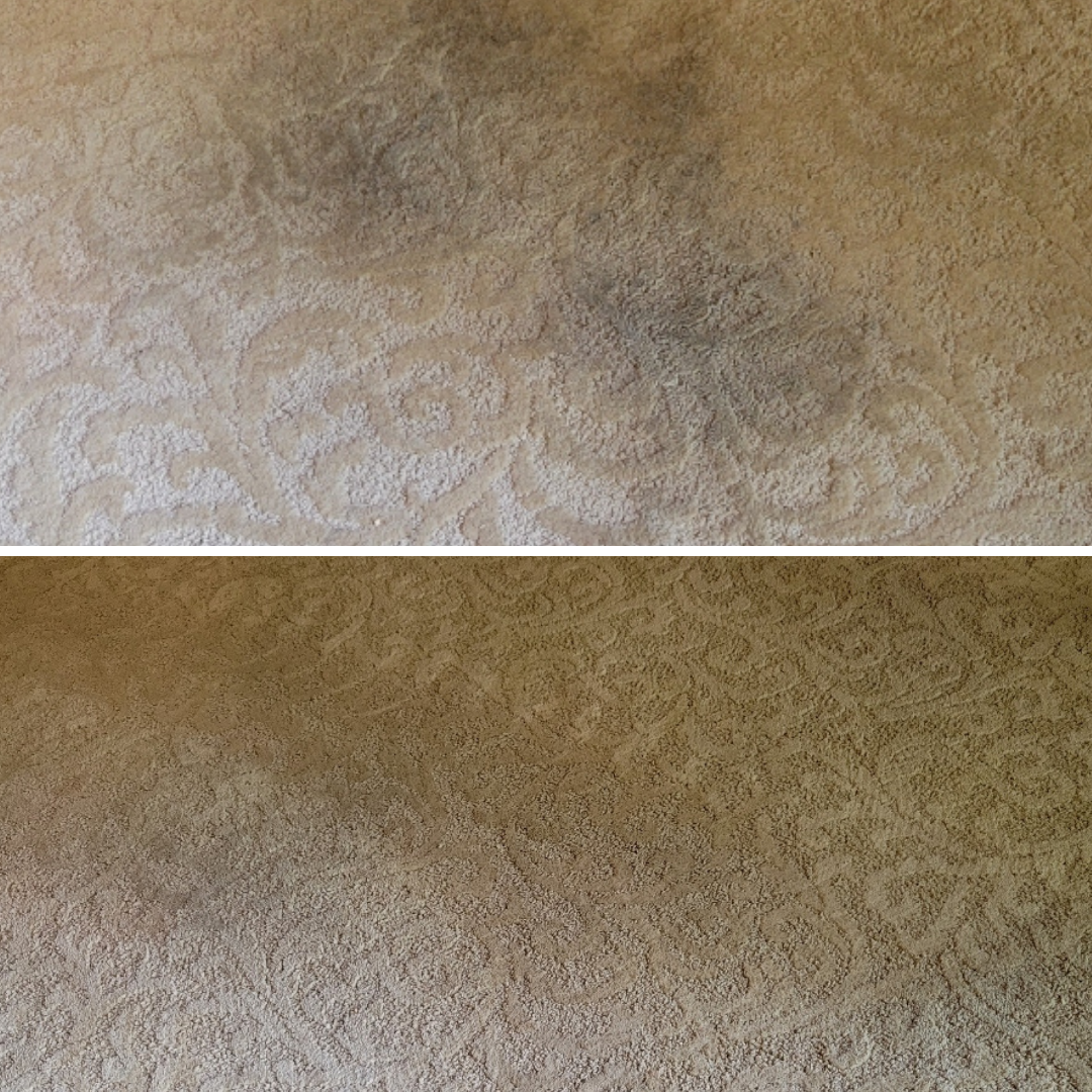 carpet cleaning in houston tx