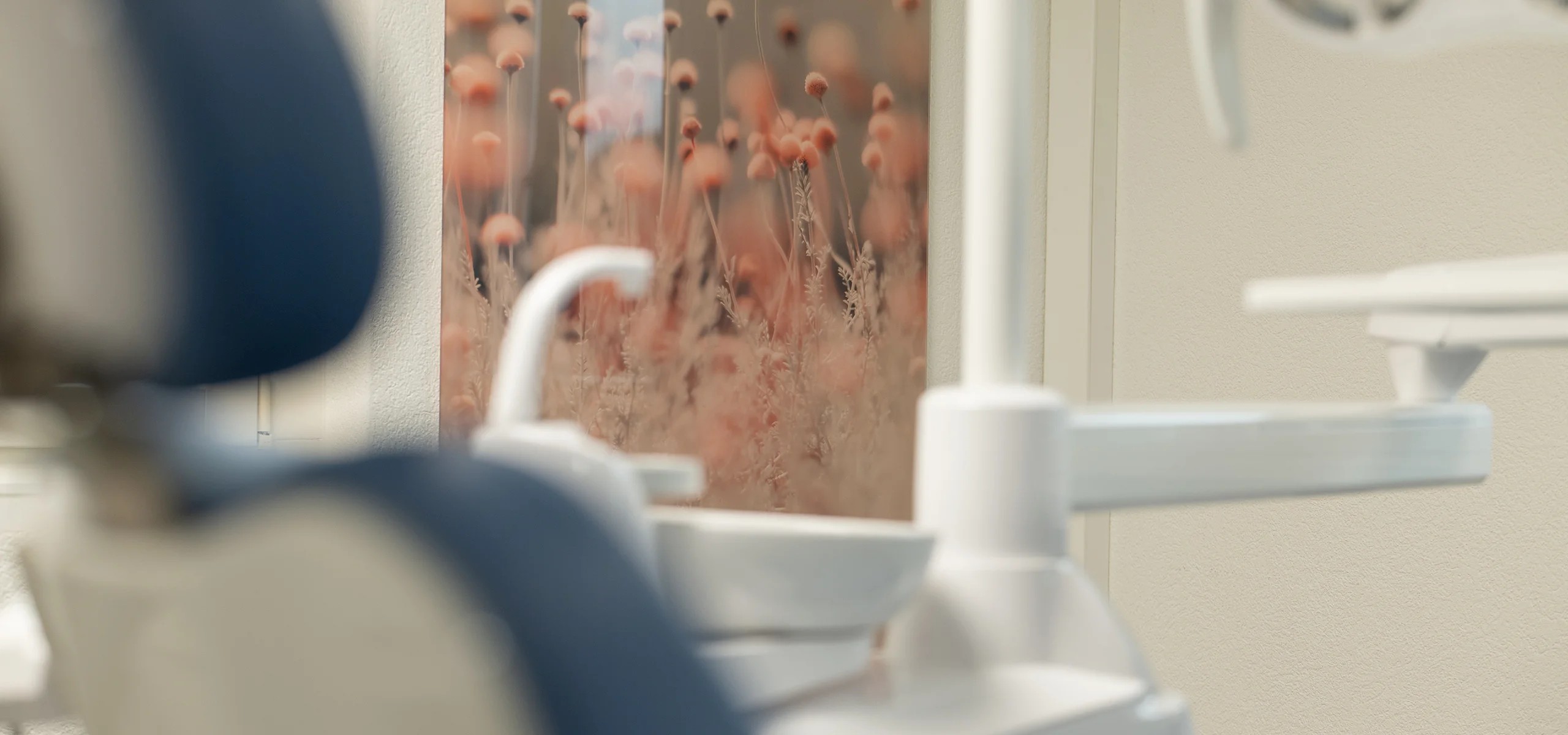 Bilder Praxis Freivogel