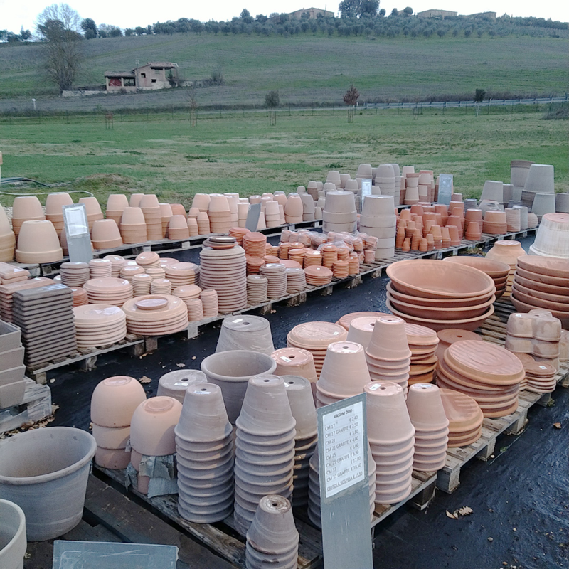 Images Vivaio Cerretani Roberto