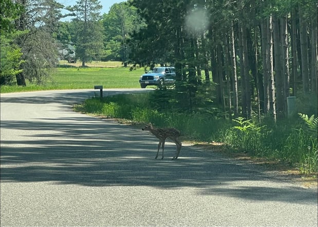 Images PINE BEACH COTTAGES LLC