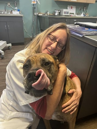 Images Adobe Animal Hospital