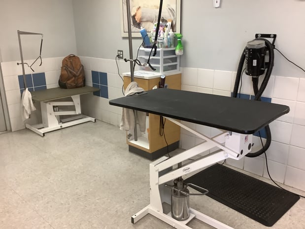 Images Petco Grooming
