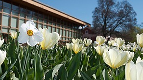 Images Bergqvists Begravningsbyrå