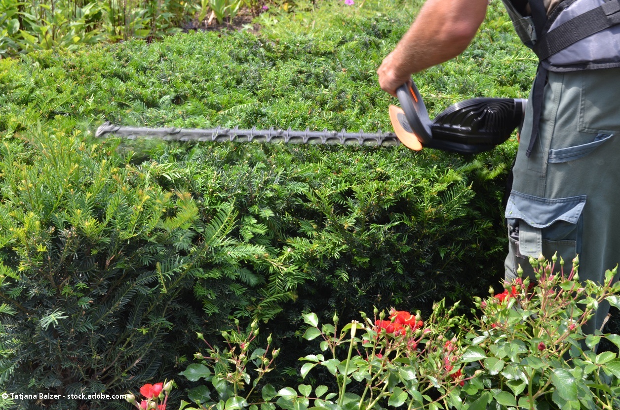 Hausmeisterservice Lang, Birkenweg 11 in Pressig