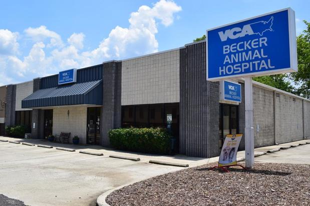 Images VCA Becker Animal Hospital