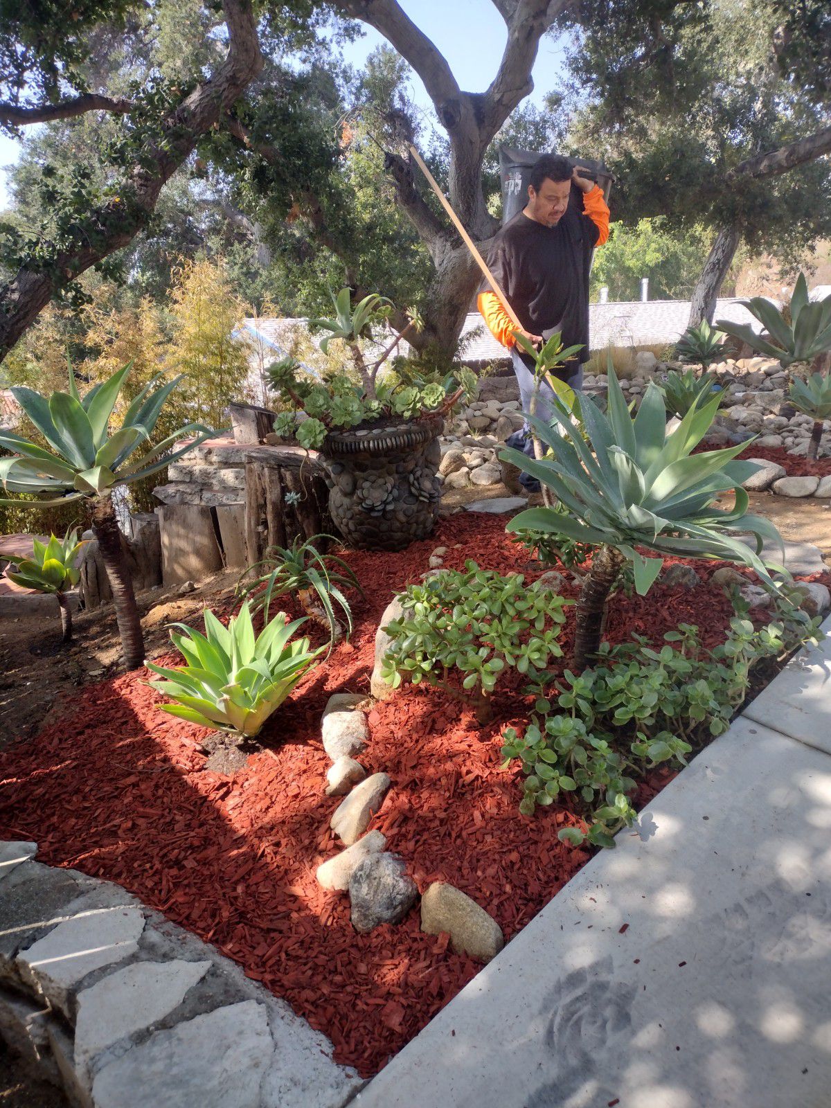 Nelson Pineda Landscaping -  Garden Maintenance