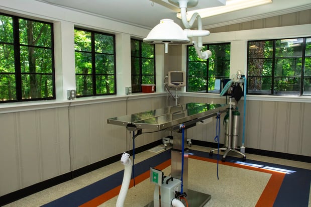 Images North Main Animal Hospital