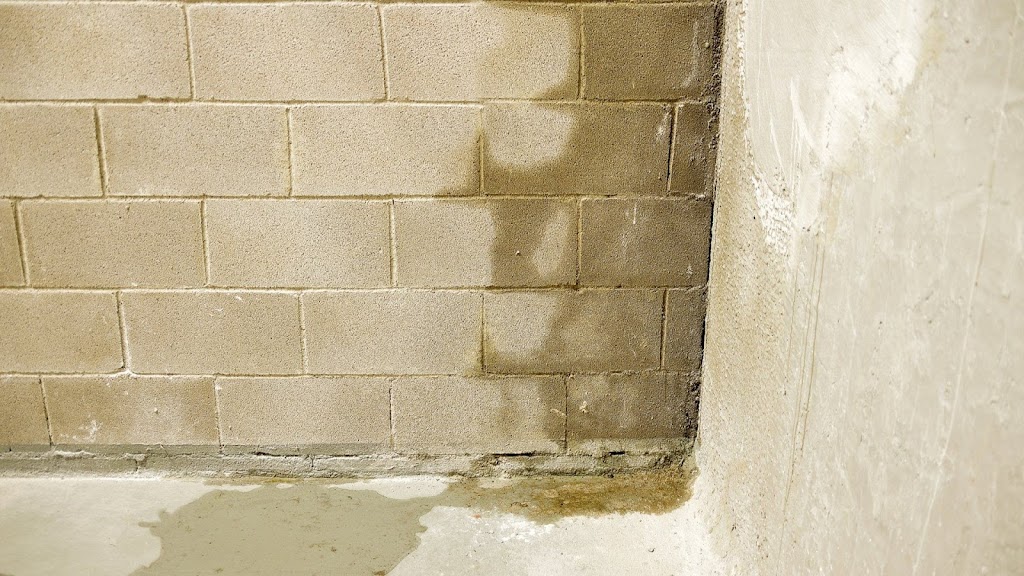 Encapsulations Down Under Image